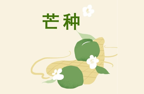 創(chuàng)洲木門(mén)丨芒種，是豐收也象征著新生